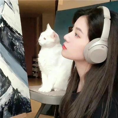 赘婿之吉兴高照